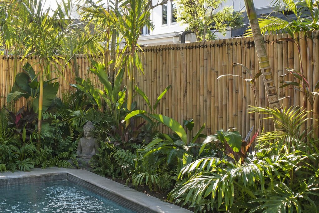 10 Outdoor Privacy Screen Ideas for Australian Backyard 6 bamboo privacy fence tropical garden pool australia